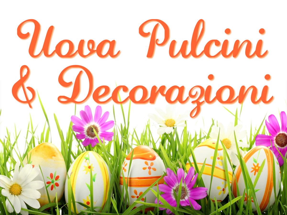 UOVA PULCINI & DECORAZIONI