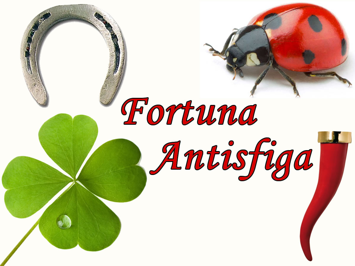 FORTUNA/ANTISFIGA