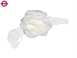 ROSA PER MACCHINA