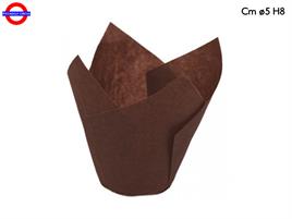 PIROTTINI TULIP CUP MARRONE CF.20 PEZZI