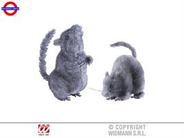 ANIMALI TOPO 2 SOGGETTI CM.13