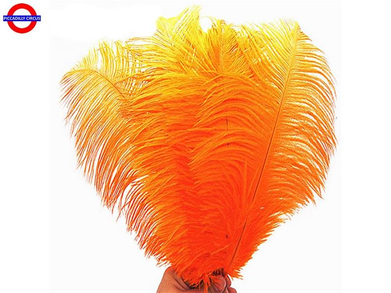 PIUME STRUZZO CM.40 ARANCIO