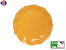 ARANCIO COMPOSTABILE 8 PIATTI D.21