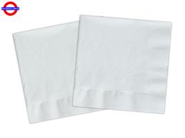 BIANCO COMPOSTABILE 20 TOVAGLIOLI 33X33