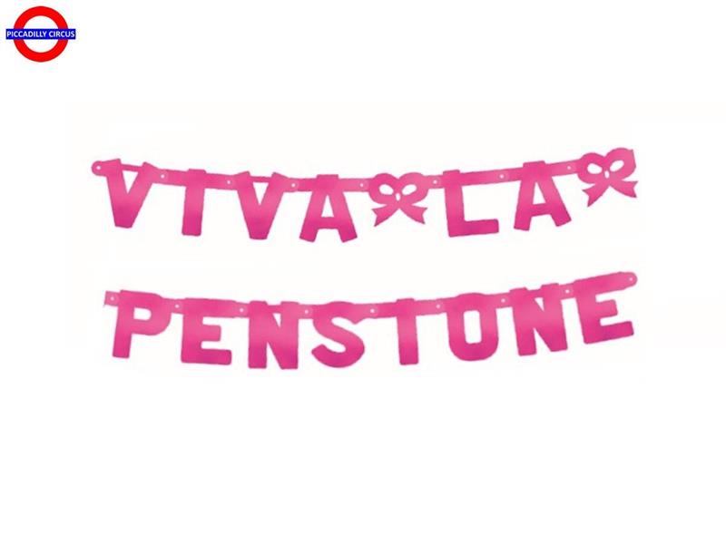 PENSIONE FESTONE VIVA LA PENSIONE FUXIA METAL CM.240X15