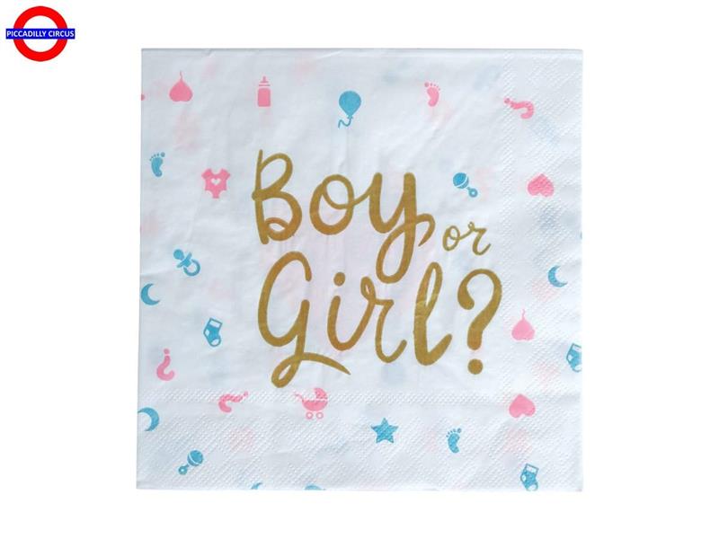 BOY OR GIRL BABY SHOWER 12 TOVAGLIOLI 33X33