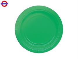 ECOLOR VERDE 25 PIATTI CM.18