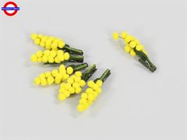 MIMOSA CON MOLLETTA CM.10.5