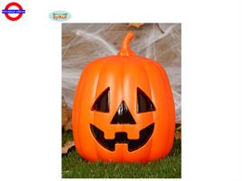 ZUCCA CON LUCE CM.27
