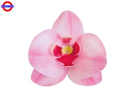 DECORAZIONE ORCHIDEA IN CIALDA ROSA 2 MIS.D.8,5-7,5
