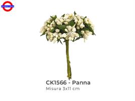 FIORE PISTILLO PANNA