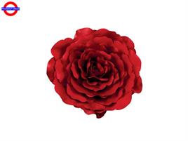 ROSA ROSSA DA APPENDERE CM.45