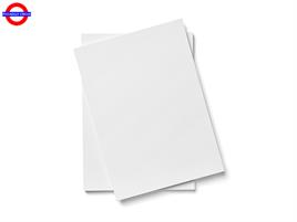 STAMPA - FOGLIO EDIBILE FREETOP A4