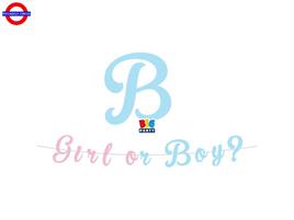 GENDER REVEAL FESTONE BOY OR GIRL CM.185