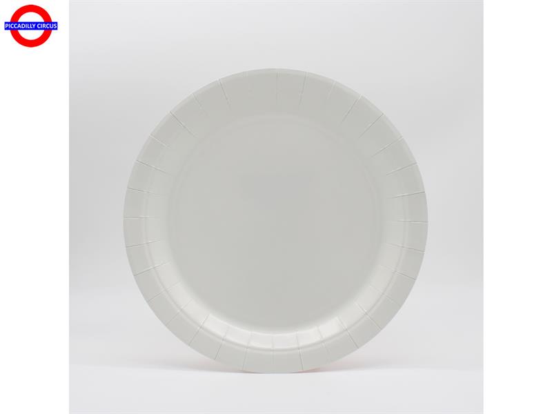 BIOCOLOR GRIGIO FREDDO 15 PIATTI CM.18