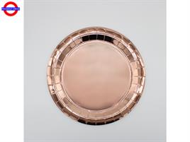 BIOCOLOR ROSE GOLD METAL 15 PIATTI CM.24
