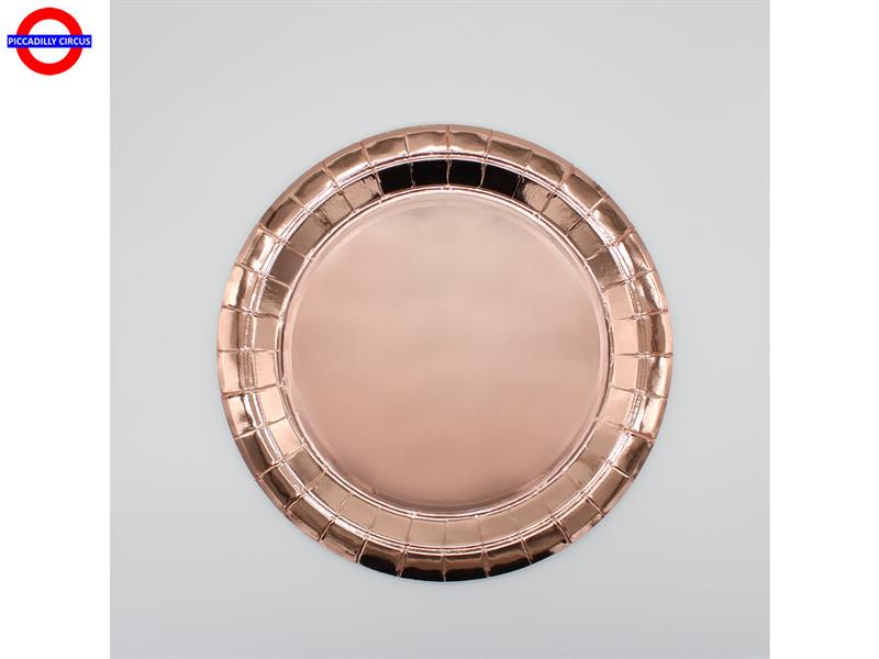 BIOCOLOR ROSE GOLD METAL 15 PIATTI CM.218