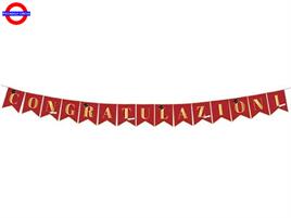 LAUREA FESTONE CONGRATULAZIONI CM.300X20