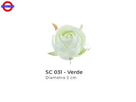ROSELLINA PICCOLA D/3 VERDE