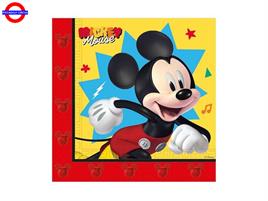  MICKEY JUMP INTO FUN 20 TOVAGLIOLI 33X33