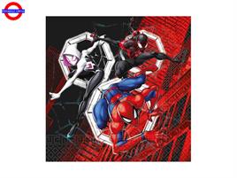 SPIDERMAN WORLD OF WEBS 20 TOVALIOLI 33X33
