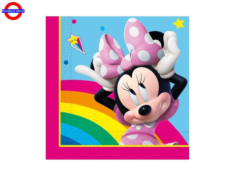  MINNIE RAINBOW MAKE 20 TOVAGLIOLI 33X33
