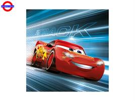  CARS VICTORY IS MINE 20 TOVAGLIOLI 33X33