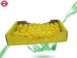 PULCINI CINIGLIA CF.30 PZ