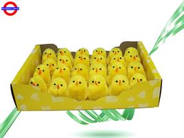 PULCINI CINIGLIA CF.24 PZ