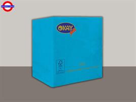 TOVAGLIOLI 25X25 SALVIA CF.100 PEZZI