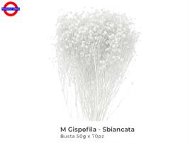 GIPSOFILA MAZZO BIANCO H.75