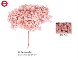 ORTENSIA STABILIZZATA D/30 H.75