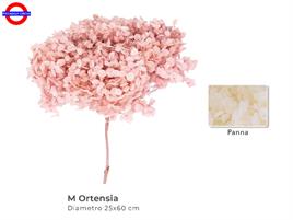 ORTENSIA STABILIZZATA PANNA H.70