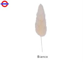 CODA DI TOPO BIANCO H.75