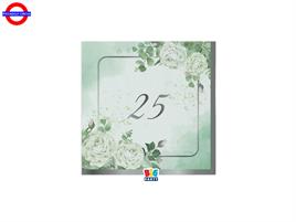 25° ANNIVERSARIO TOVAGLIOLI EUCALIPTO 25X25 CF.16PZ