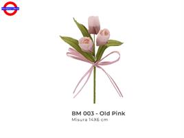 TULIPANO MAZZETTO 3 14X6 OLD PINK